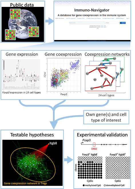 Immuno-Navigator workflow