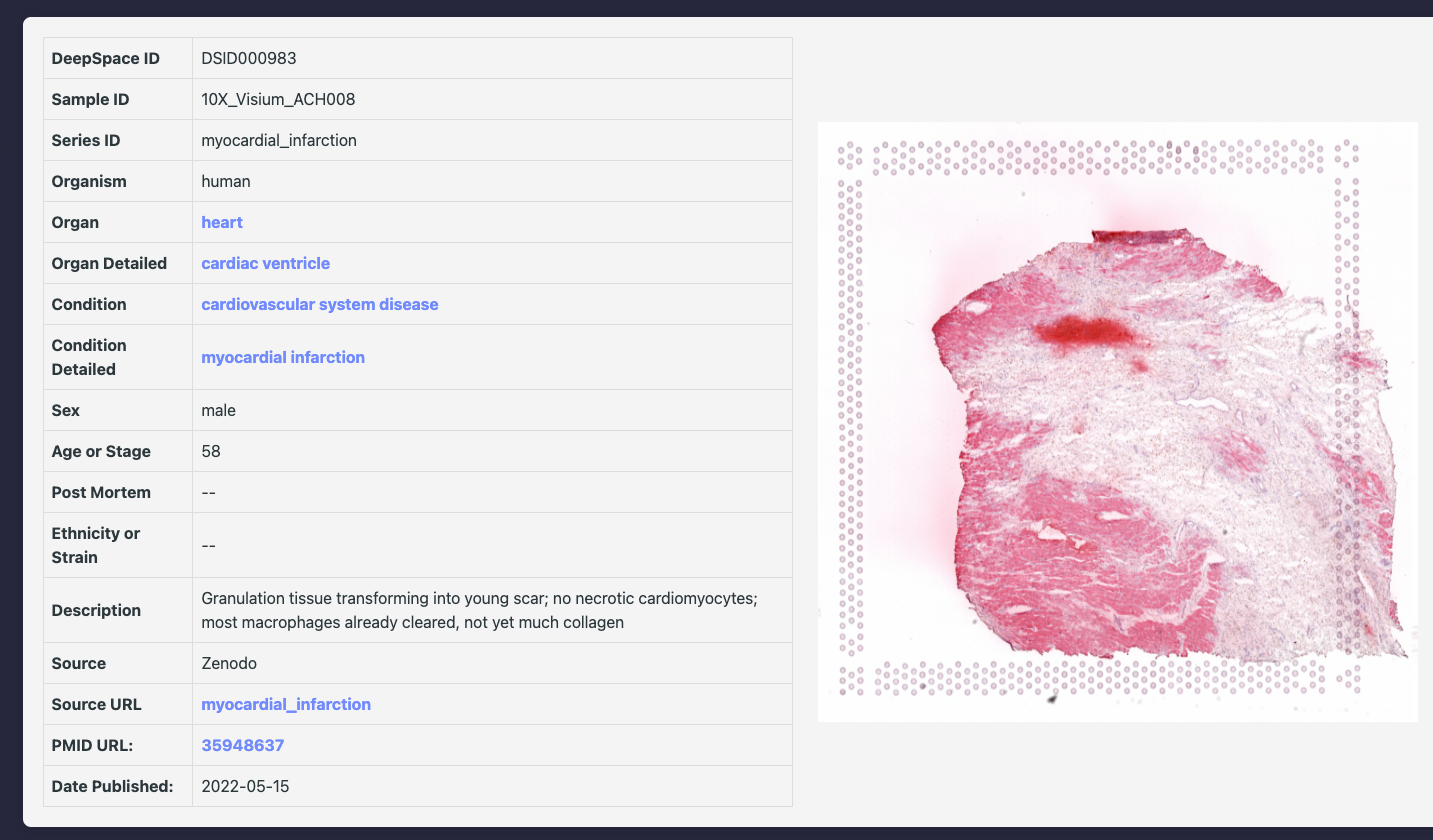 Sample section screenshot